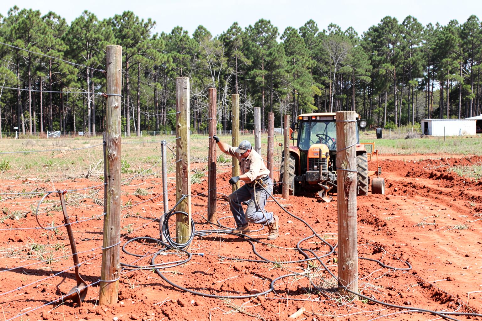 Worker setting wooden fence posts along a pasture line in red clay soil with a tractor auger behind