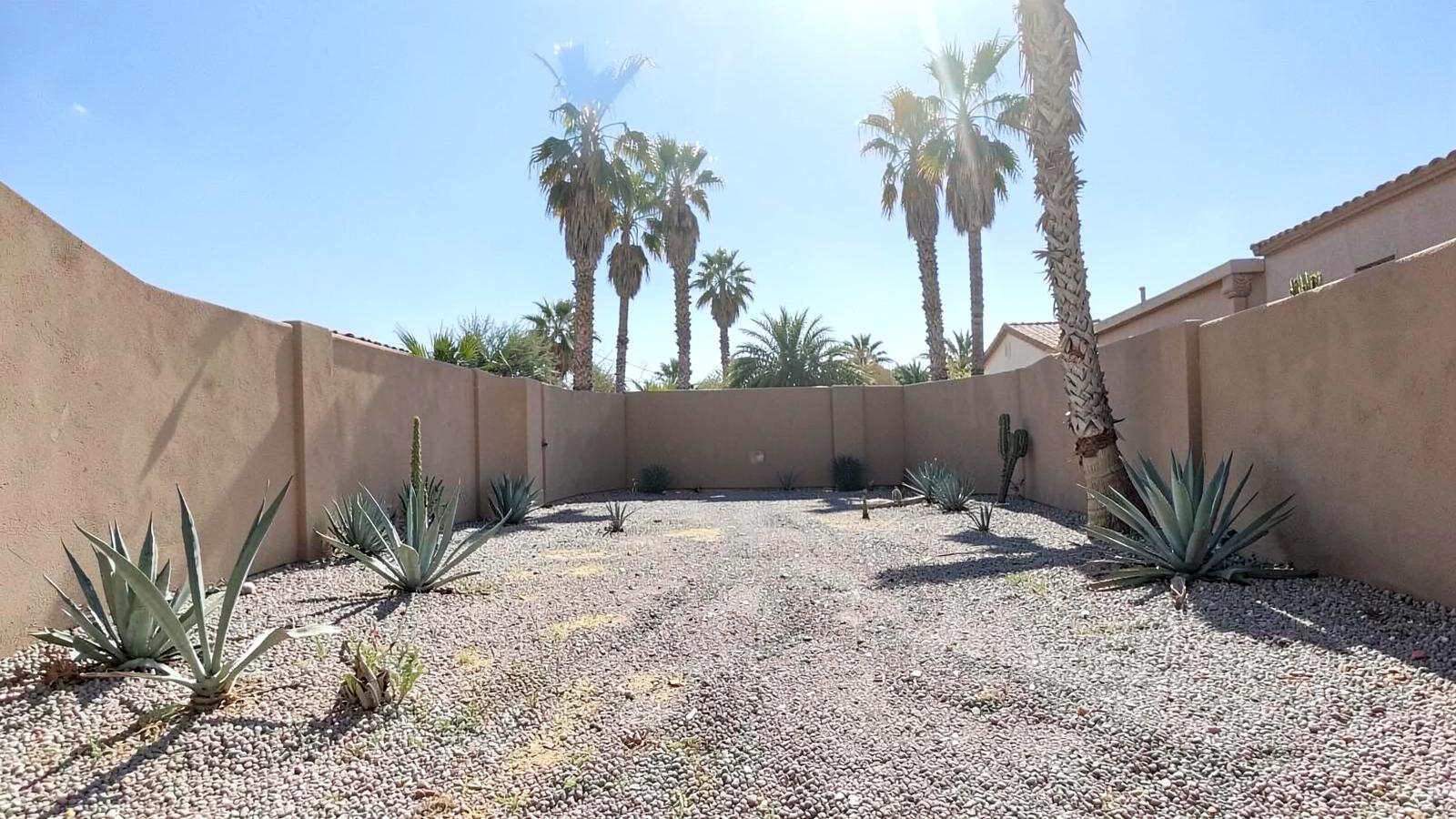 Sun-bleached low desert residential yard with gravel landscaping, agave and tall date palms under blinding midday light